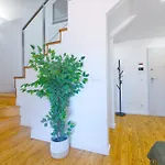 Apartment Purple Break *